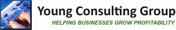 Young Consulting Group